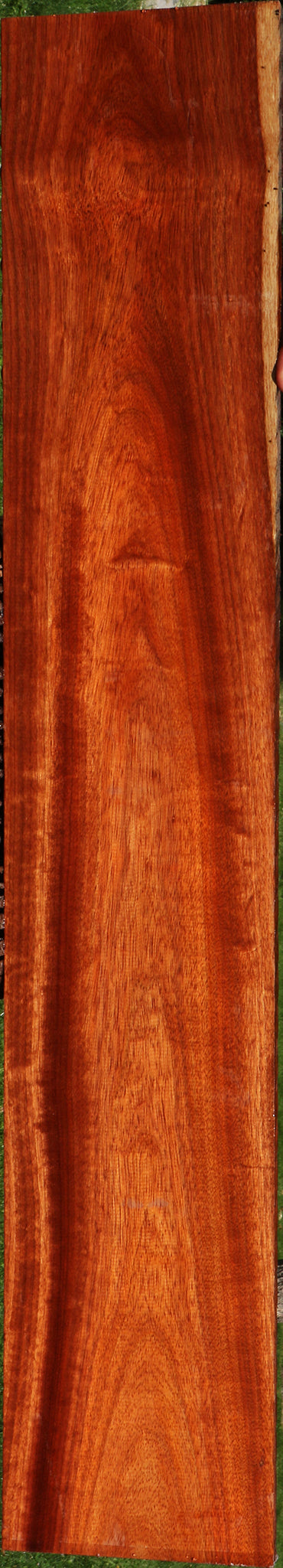 Extra Fancy Bloodwood Lumber