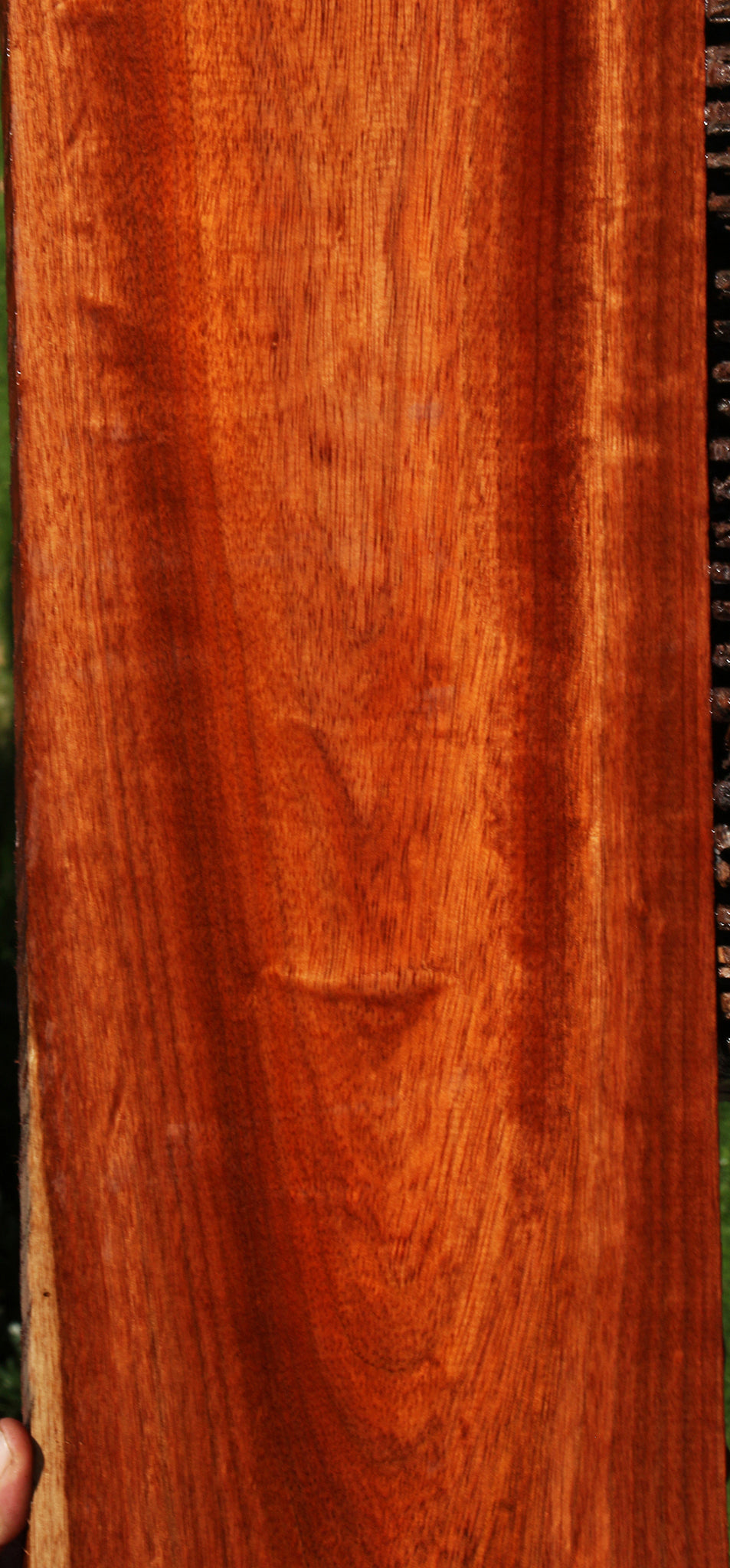 Extra Fancy Bloodwood Lumber