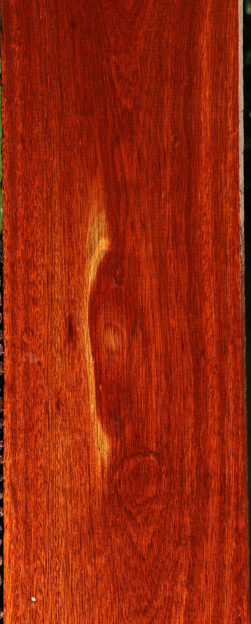 Bloodwood Lumber