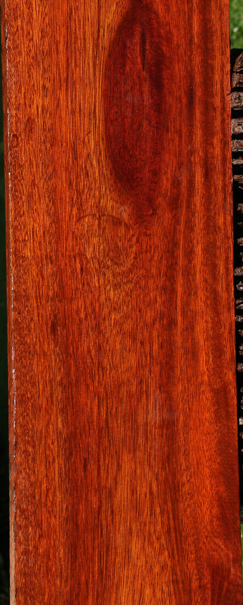 Bloodwood Lumber