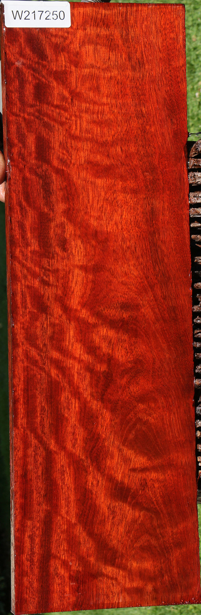 Bloodwood Instrument Lumber