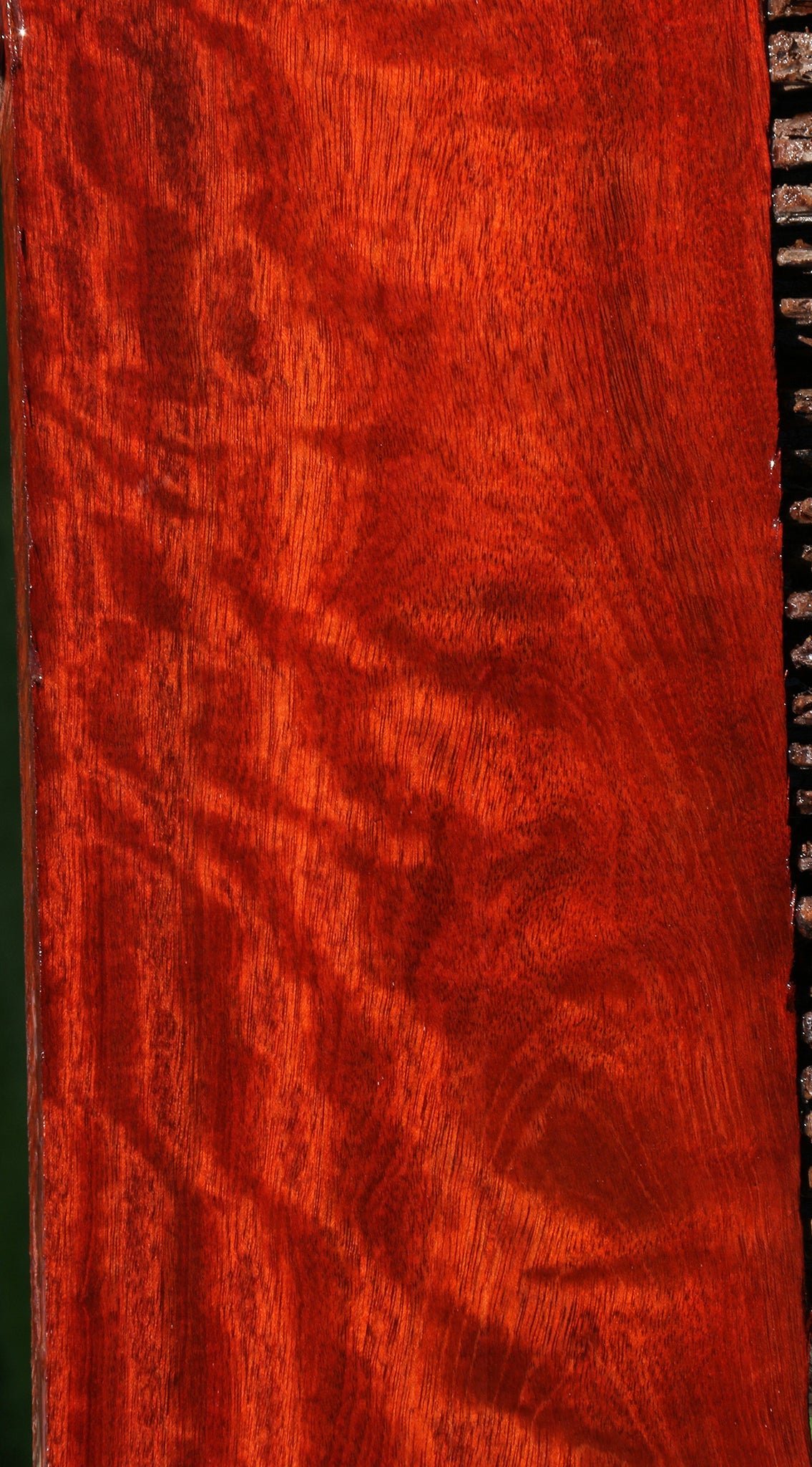 Bloodwood Instrument Lumber