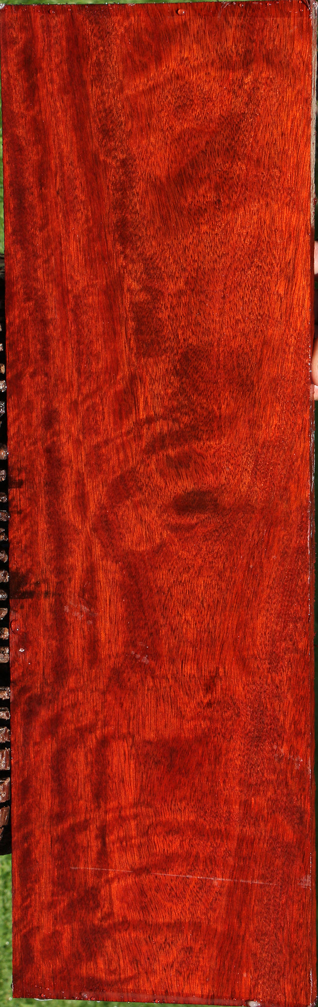 Bloodwood Instrument Lumber