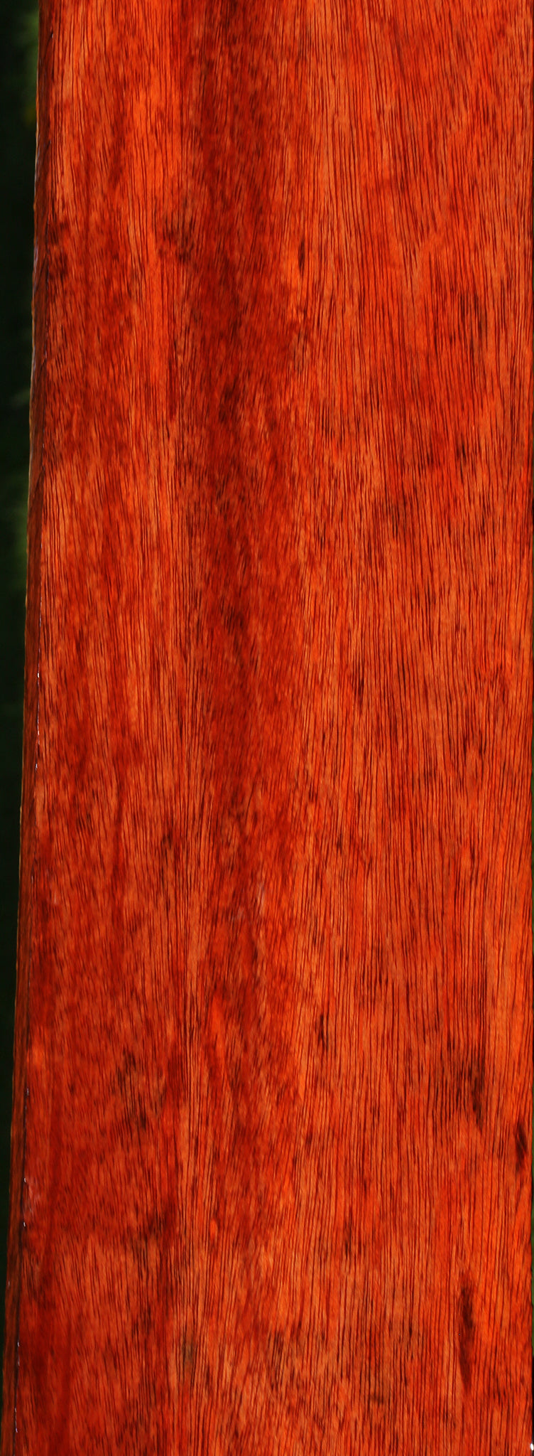 Extra Fancy Bloodwood Lumber