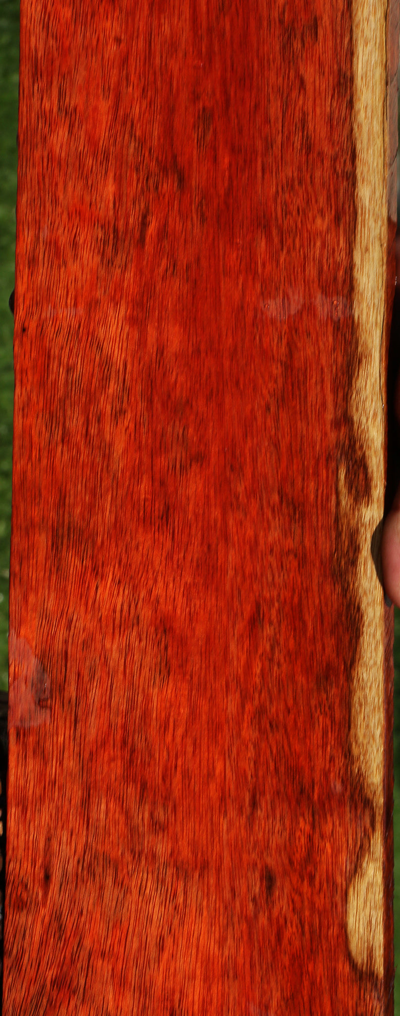 Extra Fancy Bloodwood Lumber