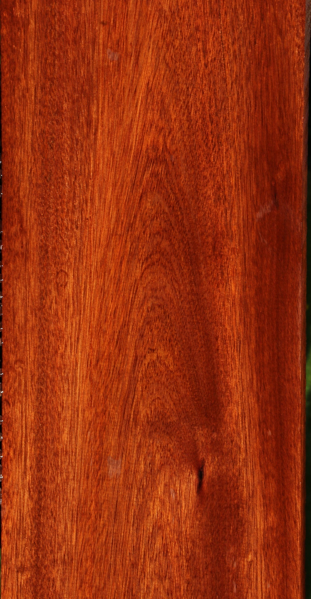 Bloodwood Lumber