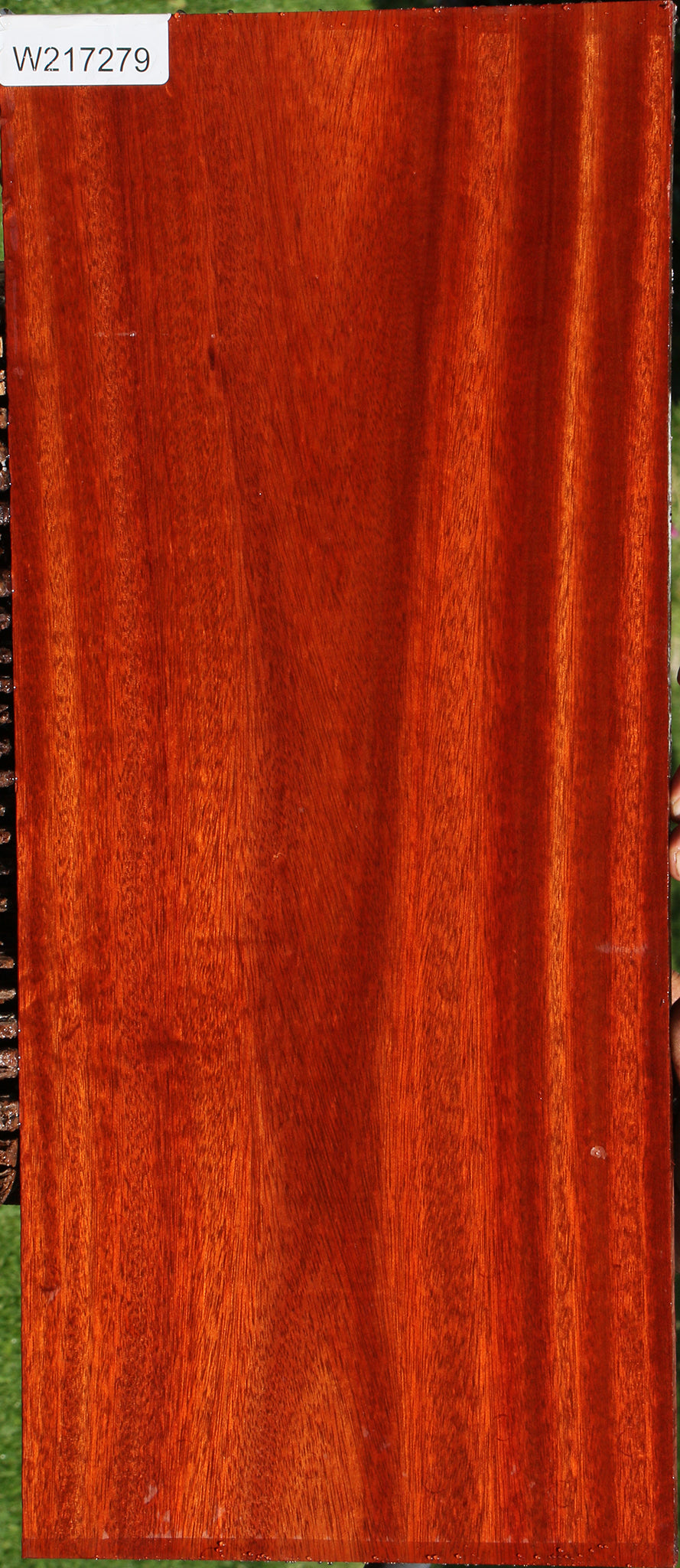 Bloodwood Lumber