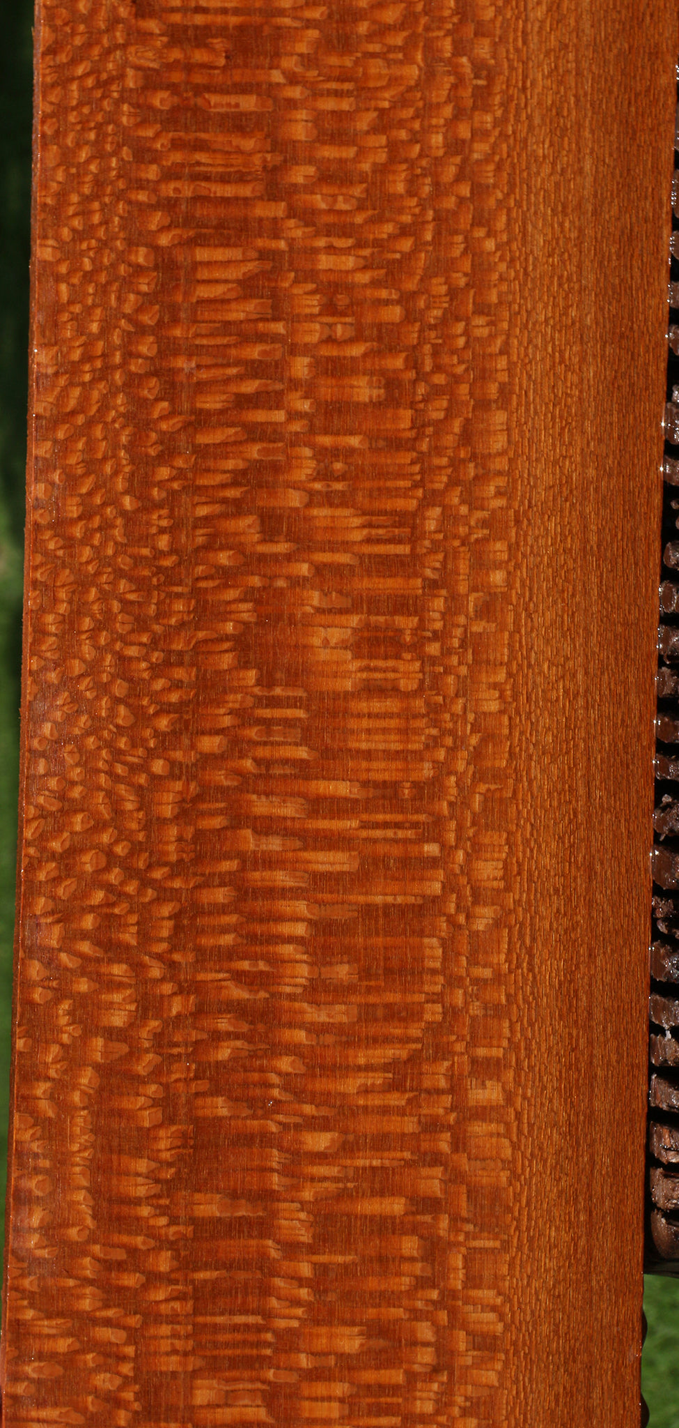 Extra Fancy Leopardwood Lumber