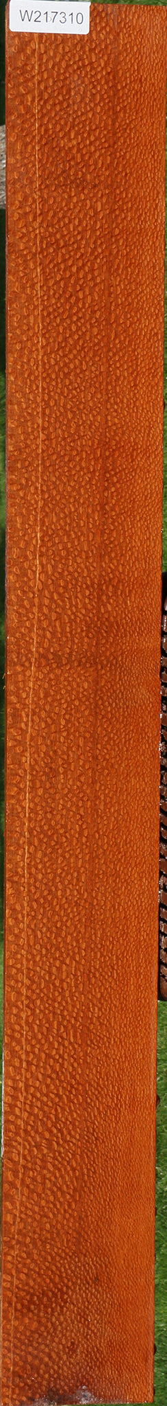 Extra Fancy Leopardwood Lumber