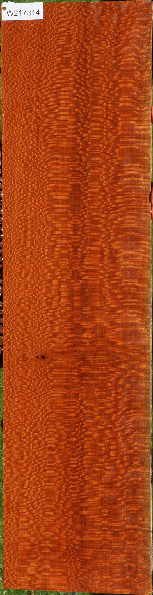 Extra Fancy Leopardwood Lumber