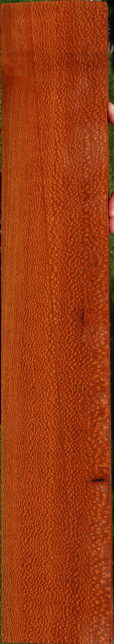 Extra Fancy Leopardwood Lumber