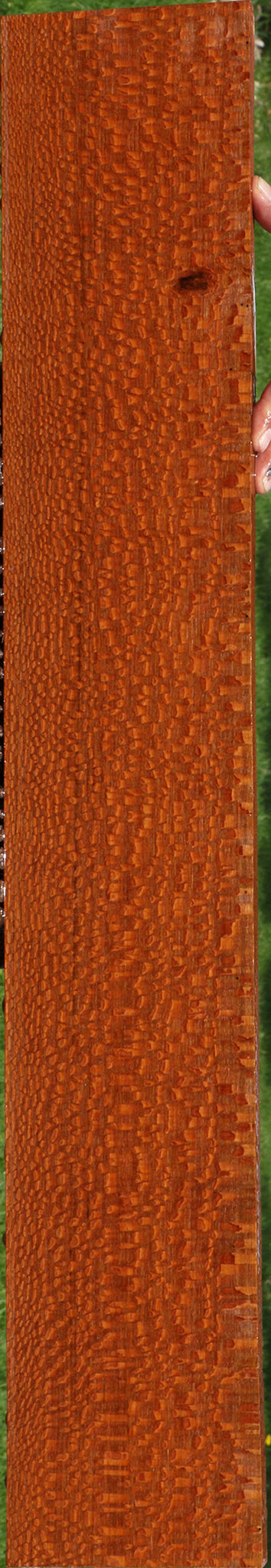 Extra Fancy Leopardwood Lumber