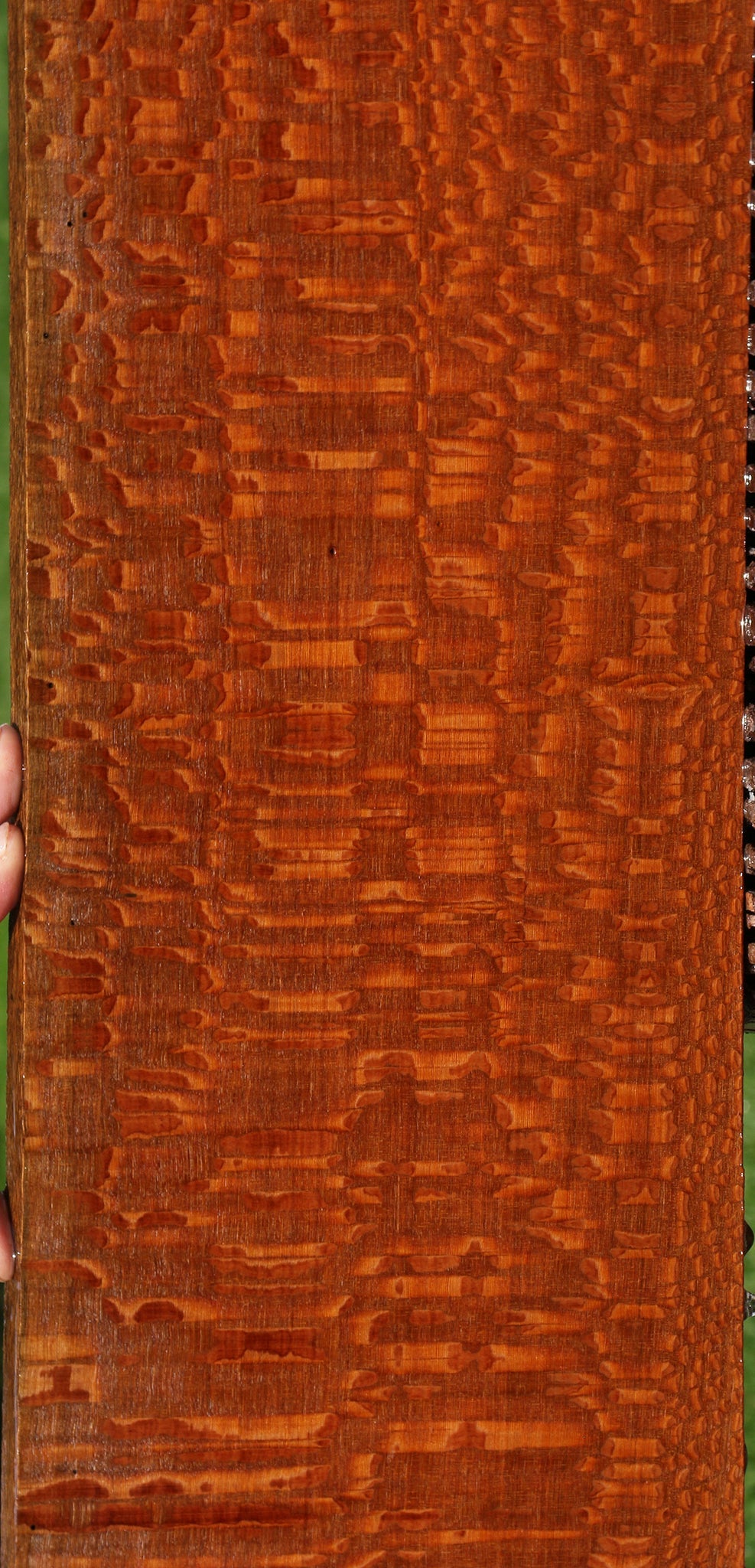 Exhibition Leopardwood Lumber