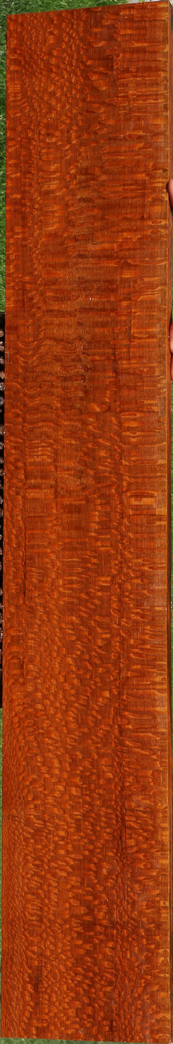 Extra Fancy Leopardwood Lumber