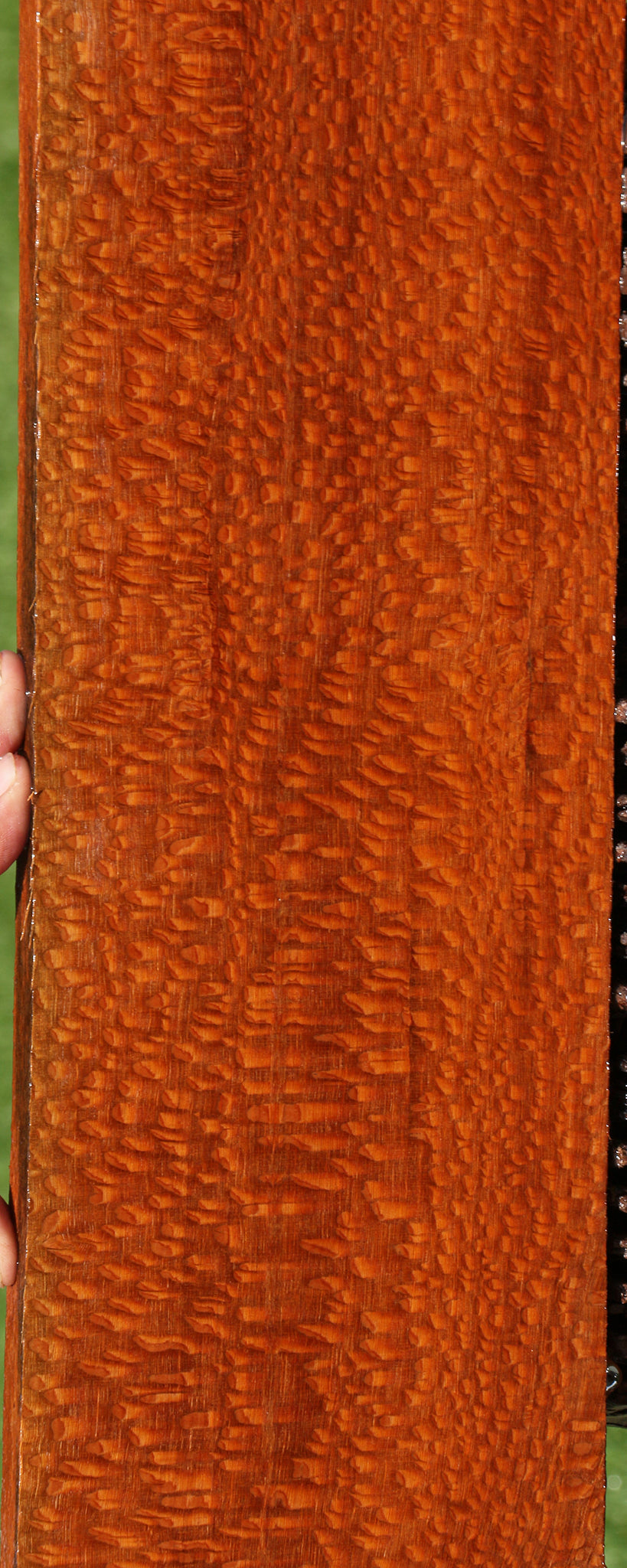 Extra Fancy Leopardwood Lumber