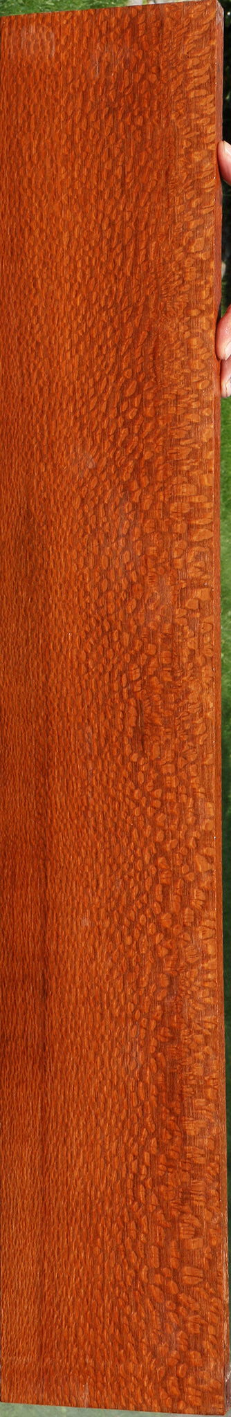 Extra Fancy Leopardwood Lumber