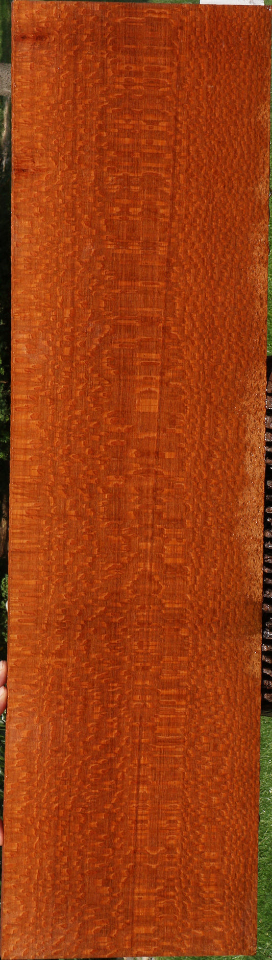 Exhibition Leopardwood Lumber