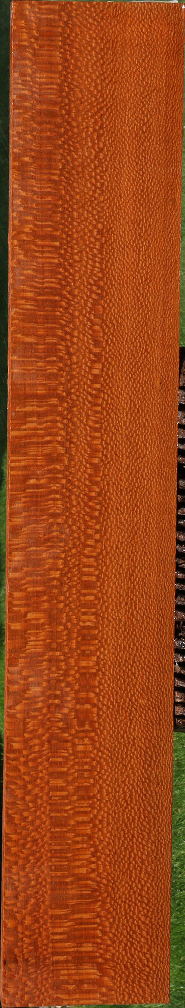 Extra Fancy Leopardwood Lumber