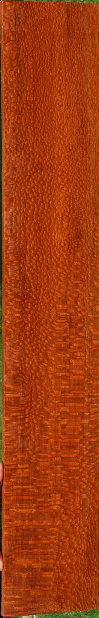 Extra Fancy Leopardwood Lumber