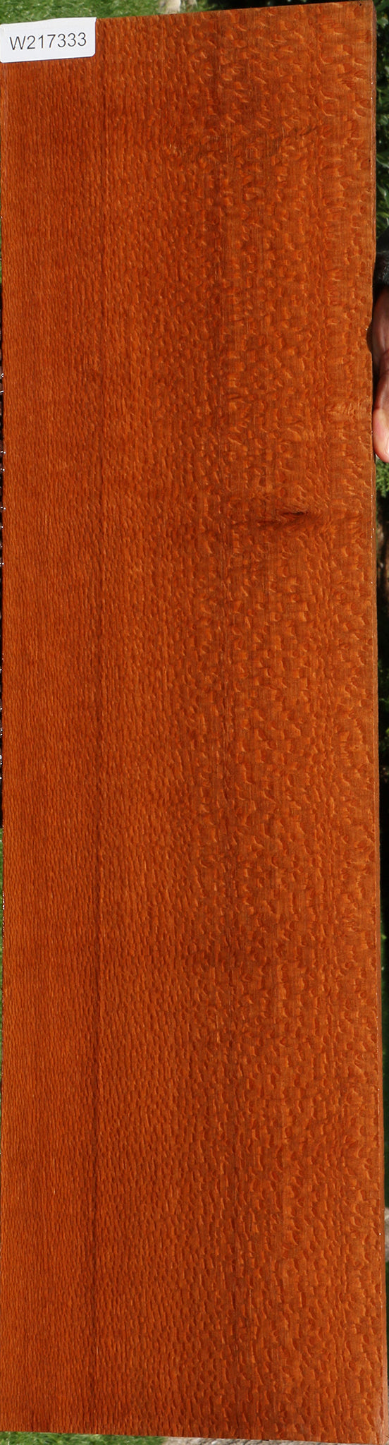 Extra Fancy Leopardwood Lumber