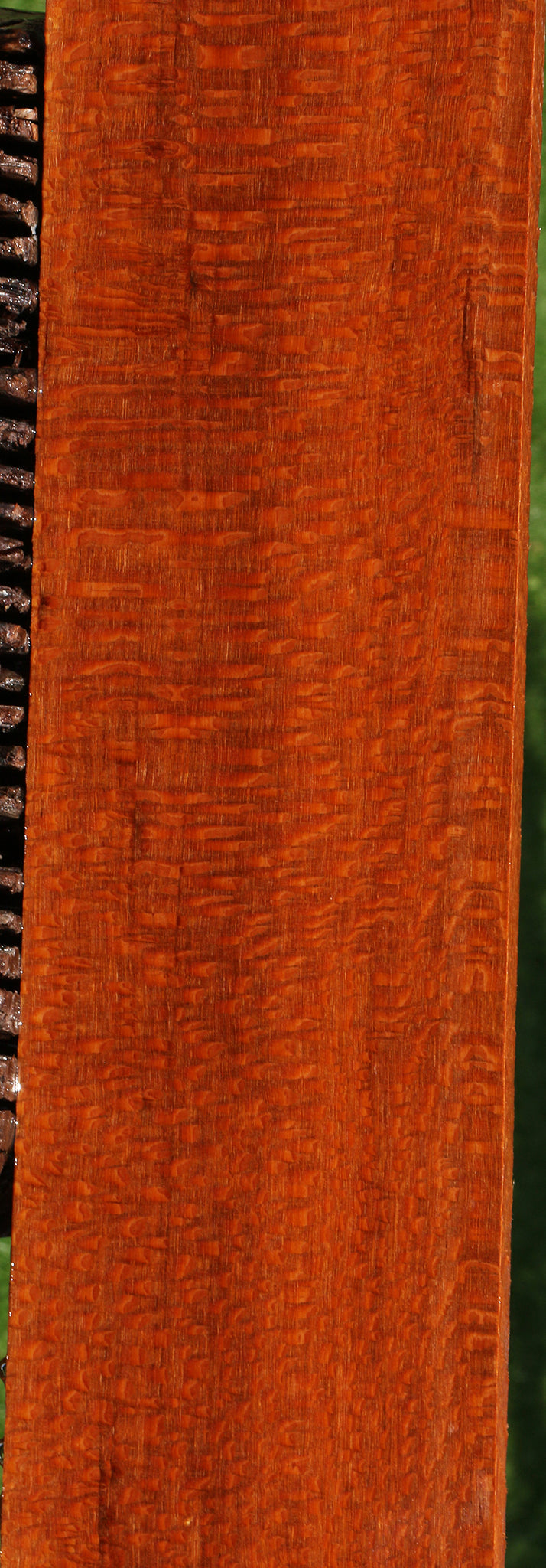 Extra Fancy Leopardwood Lumber