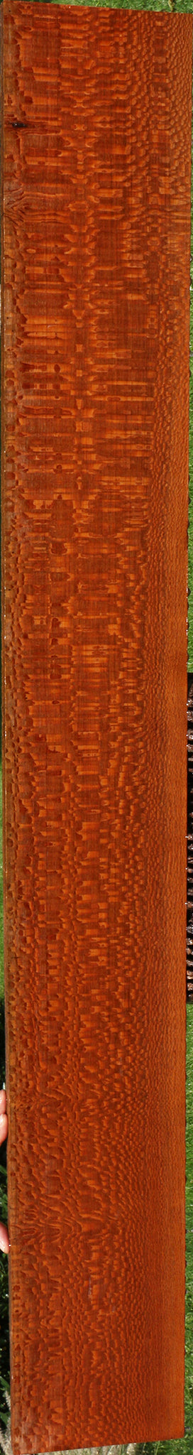 Extra Fancy Leopardwood Lumber