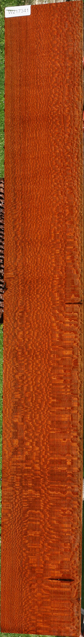 Extra Fancy Leopardwood Lumber