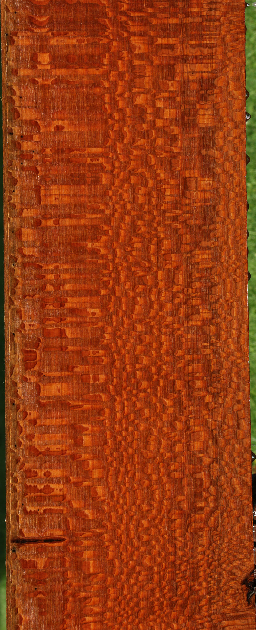 Extra Fancy Leopardwood Lumber