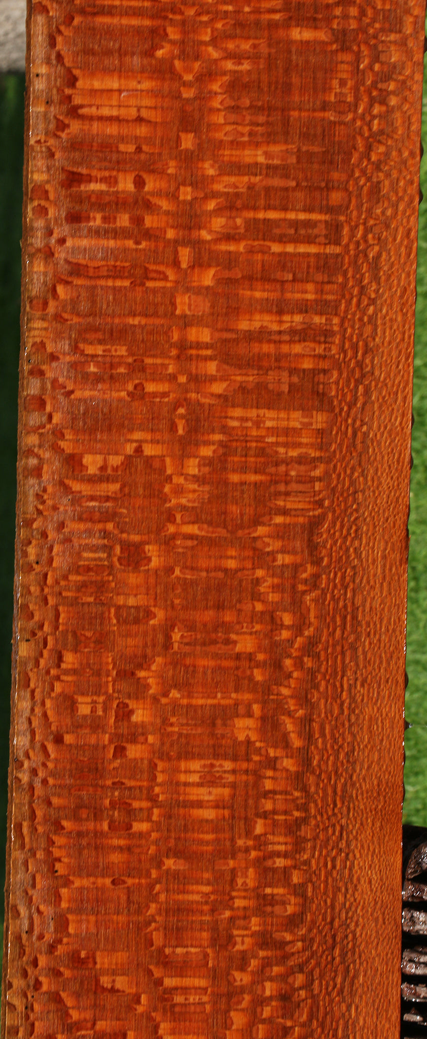 Extra Fancy Leopardwood Lumber