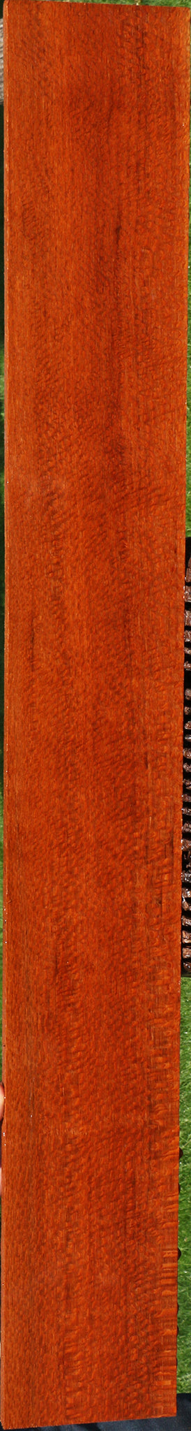 Extra Fancy Leopardwood Lumber