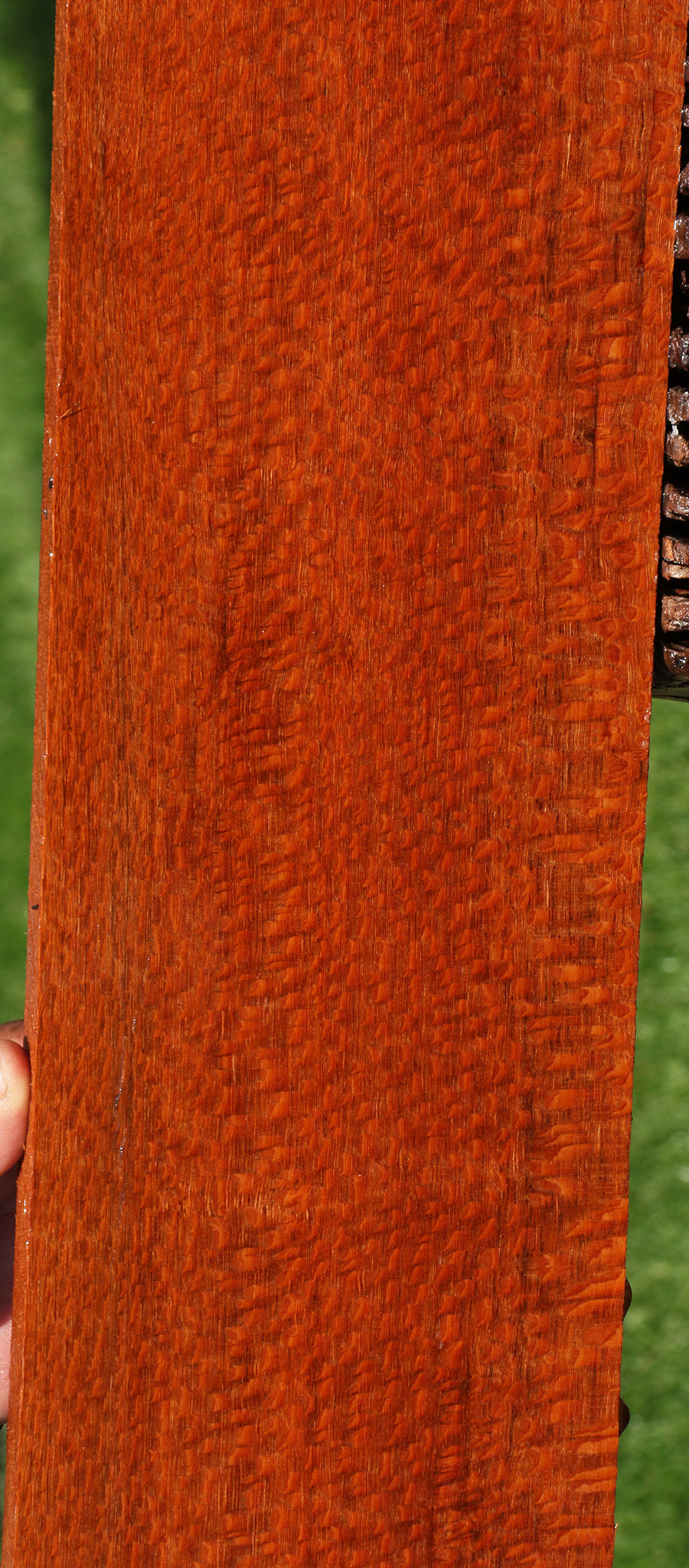 Extra Fancy Leopardwood Lumber