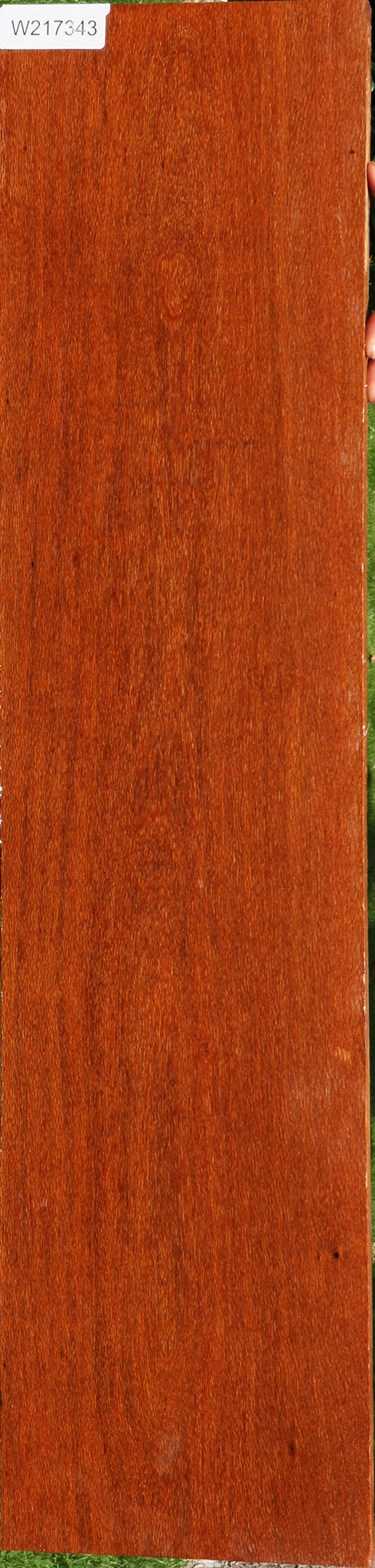 Leopardwood Lumber