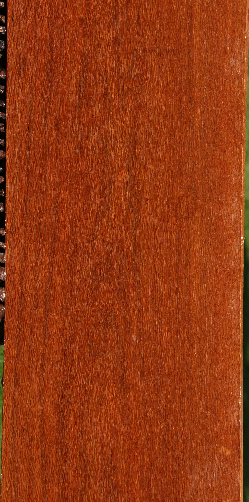 Leopardwood Lumber