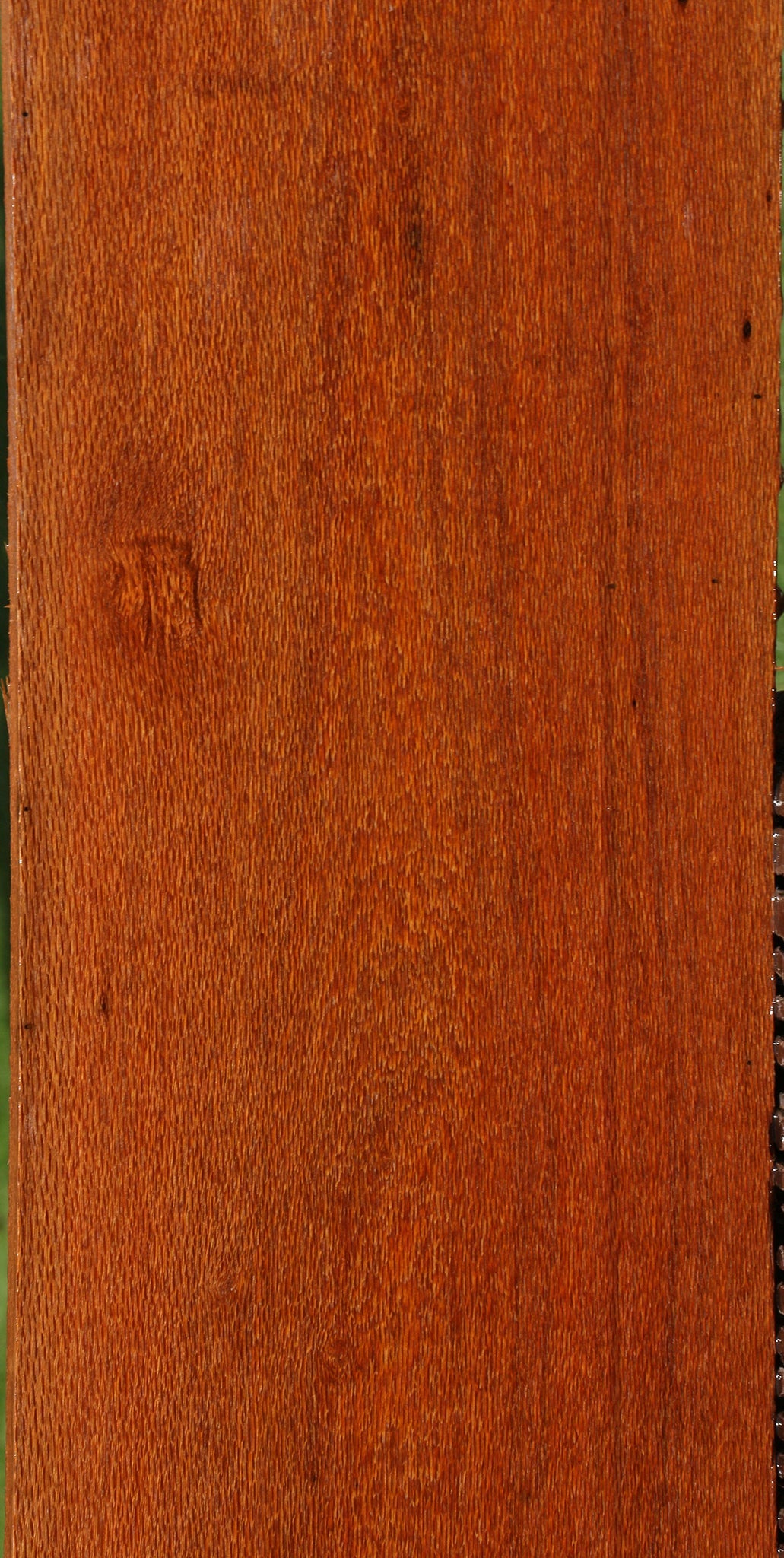 Leopardwood Lumber