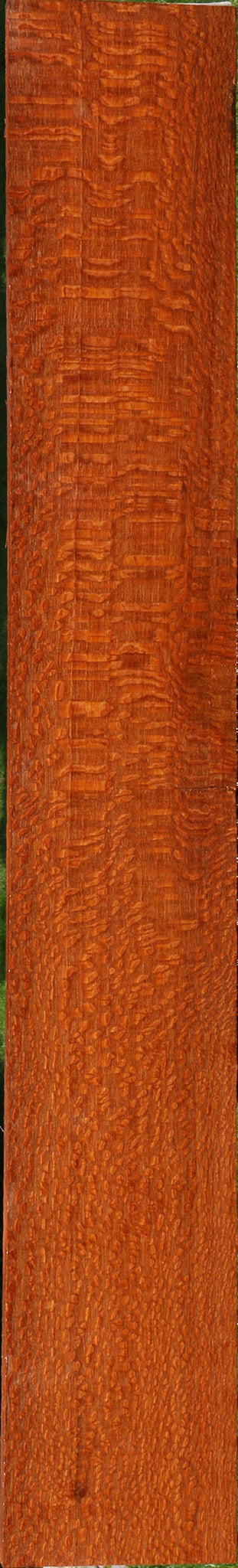 Extra Fancy Leopardwood Lumber