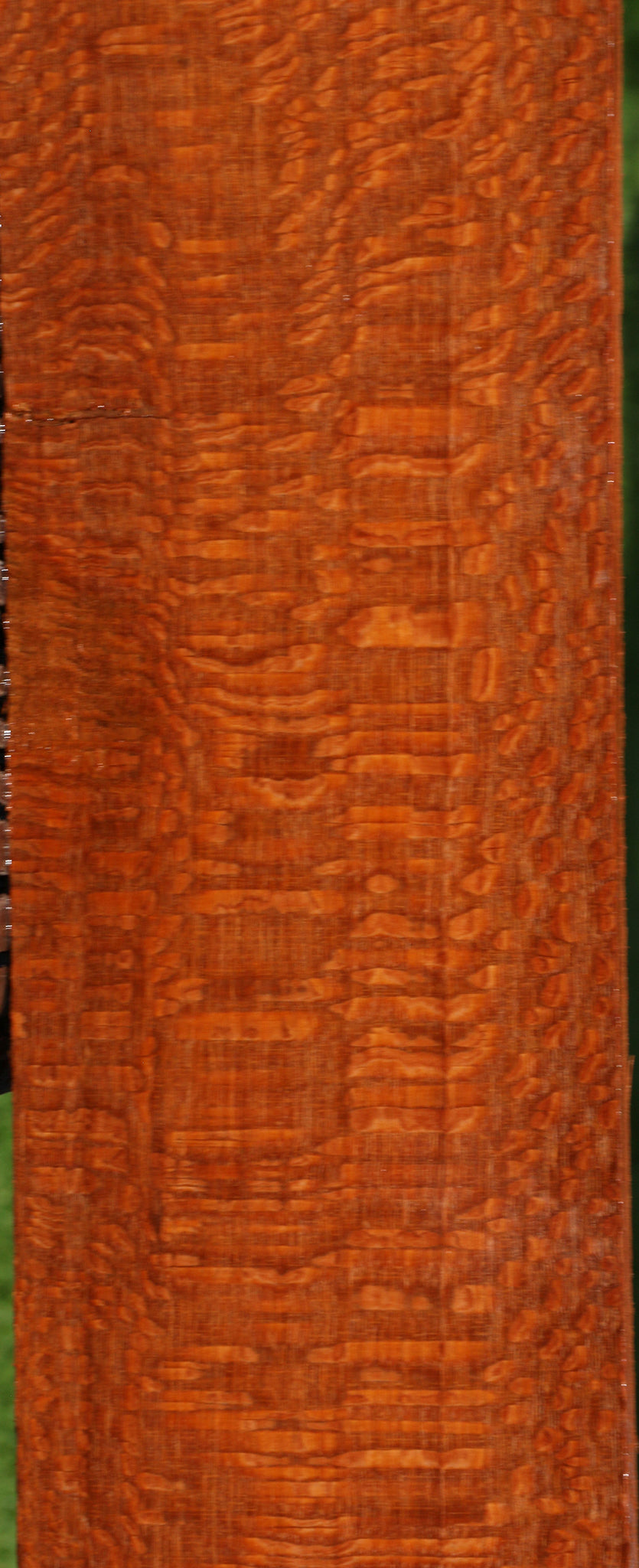 Extra Fancy Leopardwood Lumber