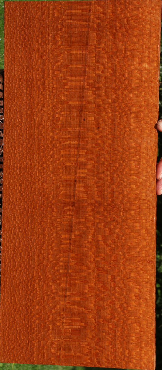 Extra Fancy Leopardwood Instrument Lumber