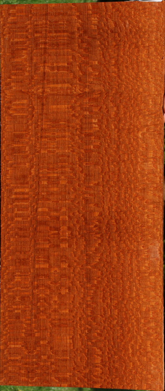 Extra Fancy Leopardwood Instrument Lumber