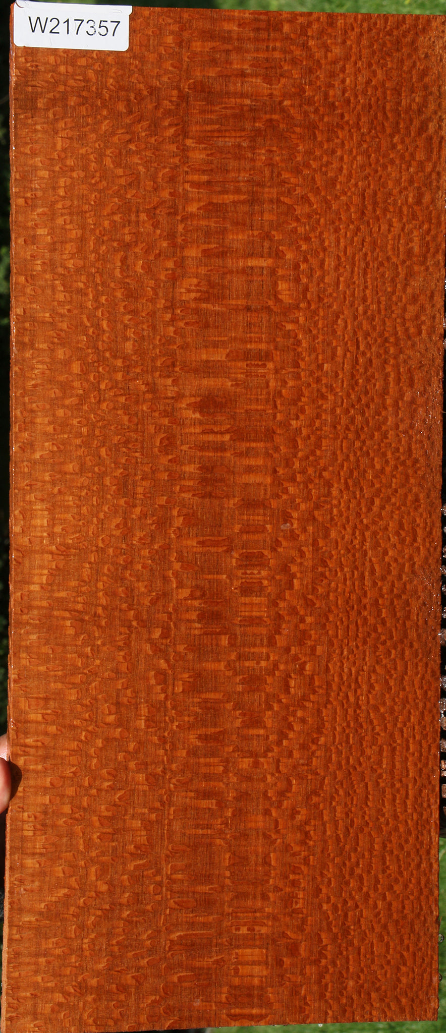 Extra Fancy Leopardwood Instrument Lumber