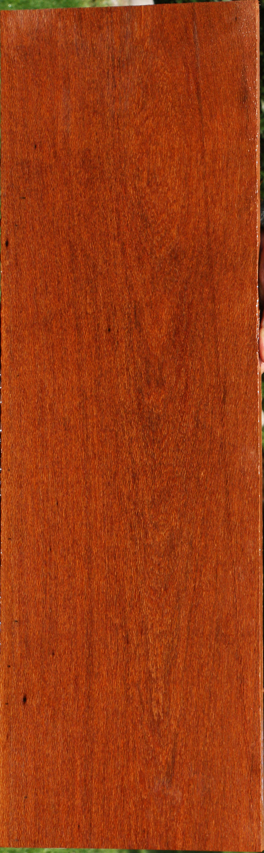 Leopardwood Lumber