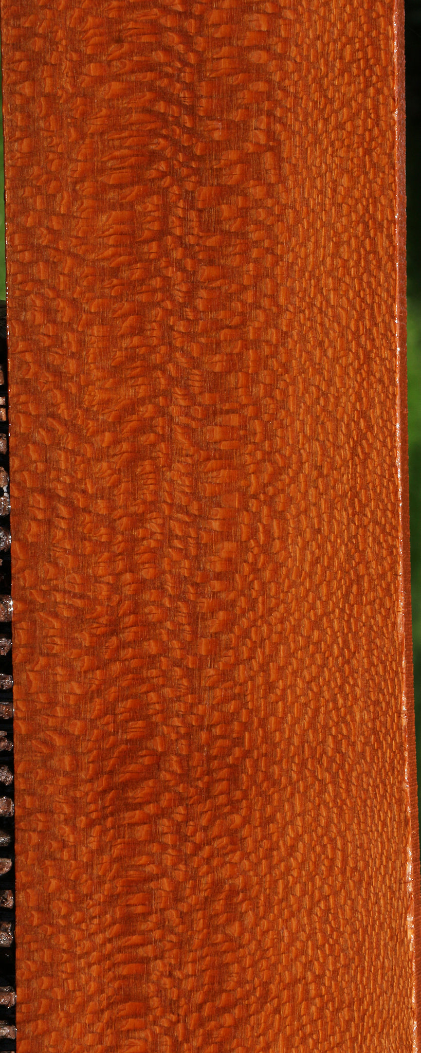 Extra Fancy Leopardwood Lumber