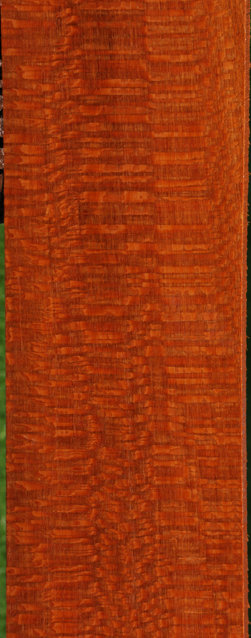 Extra Fancy Leopardwood Lumber