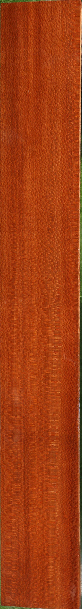 Extra Fancy Leopardwood Lumber