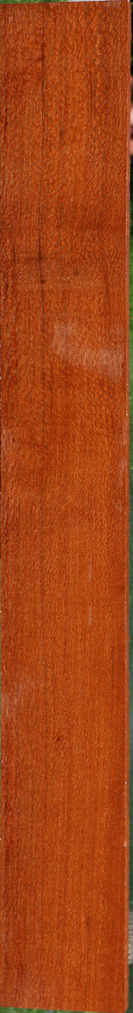 Extra Fancy Leopardwood Lumber