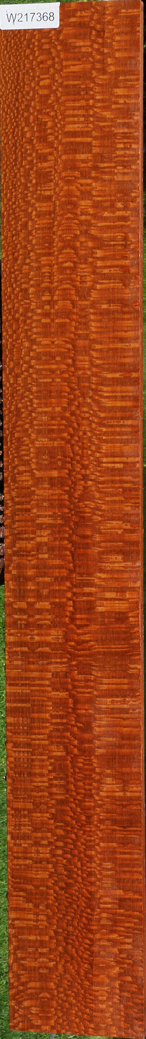 Extra Fancy Leopardwood Lumber