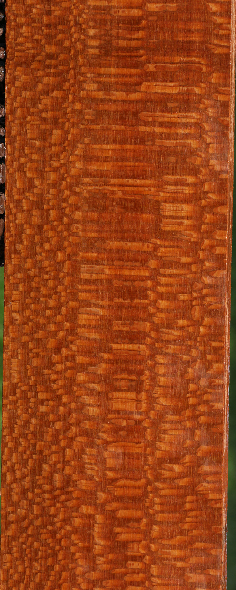 Extra Fancy Leopardwood Lumber