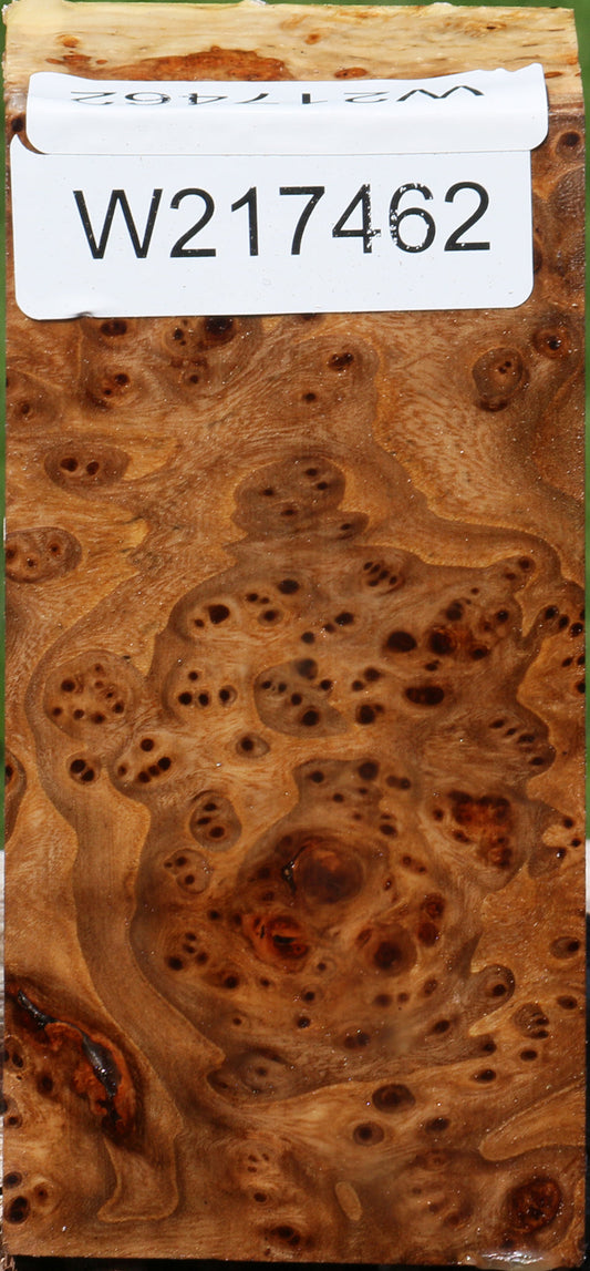 Elm Burl Turning Square