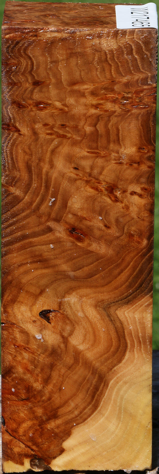 Elm Burl Turning Square