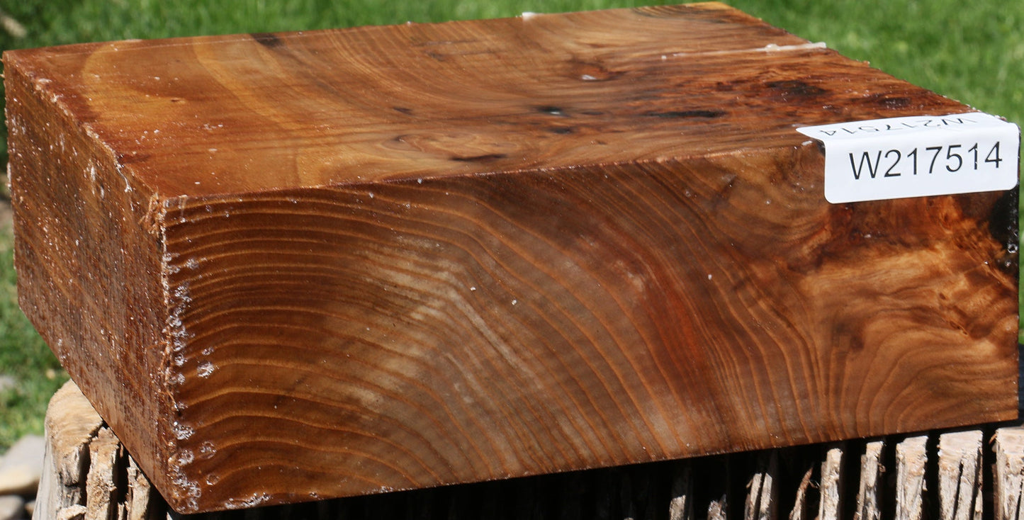 Extra Fancy Elm Burl Bowl Blank