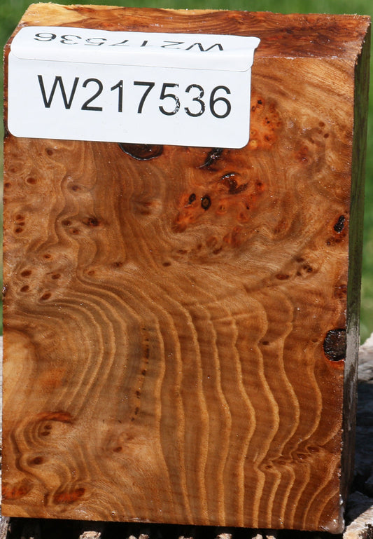 Elm Burl Turning Blank